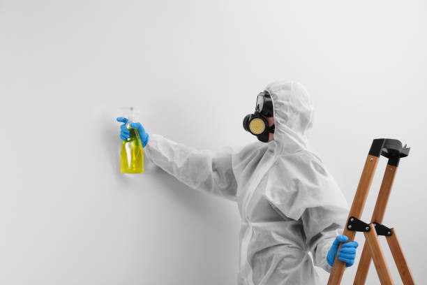 Best Commercial Mold Inspection in USA